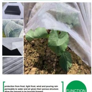 non-woven-fabric